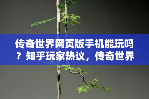 传奇世界网页版手机能玩吗?知乎玩家热议,传奇世界网页版手机可玩性引热议 传奇世界网页版手机能玩吗?知乎玩家热议,传奇世界网页版手机可玩性引热议