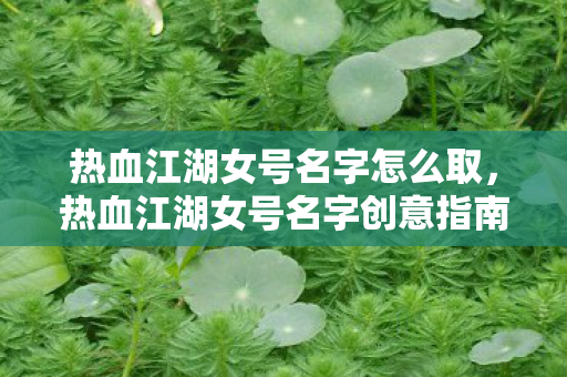 热血江湖女号名字怎么取，热血江湖女号名字创意指南