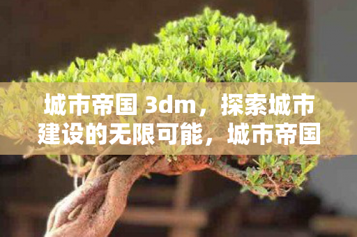 城市帝国 3dm，探索城市建设的无限可能，城市帝国 3dm，探索城市建设的无限可能