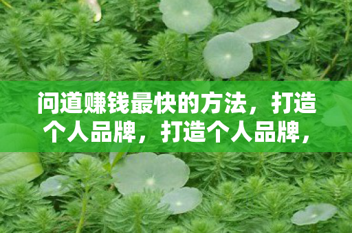 问道赚钱最快的方法,打造个人品牌,打造个人品牌,问道赚钱最快的方法 问道赚钱最快的方法,打造个人品牌,打造个人品牌,问道赚钱最快的方法