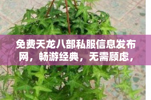 免费天龙八部私服信息发布网,畅游经典,无需顾虑,免费天龙八部私服,畅游经典,无限制体验! 免费天龙八部私服信息发布网,畅游经典,无需顾虑,免费天龙八部私服,畅游经典,无限制体验!