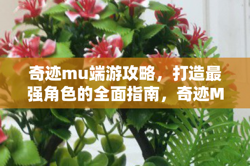 奇迹mu端游攻略，打造最强角色的全面指南，奇迹MU端游打造最强角色攻略