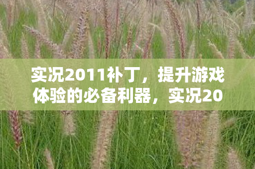 实况2011补丁,提升游戏体验的必备利器,实况2011补丁,提升游戏体验的必备利器 实况2011补丁,提升游戏体验的必备利器,实况2011补丁,提升游戏体验的必备利器