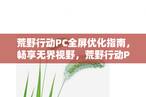 荒野行动PC全屏优化指南,畅享无界视野,荒野行动PC优化攻略,解锁全屏视野,畅享游戏无界体验 荒野行动PC全屏优化指南,畅享无界视野,荒野行动PC优化攻略,解锁全屏视野,畅享游戏无界体验