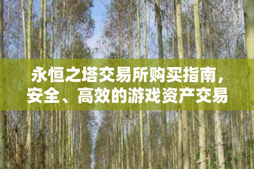 永恒之塔交易所购买指南,安全、高效的游戏资产交易,永恒之塔交易所购买全攻略,安全高效交易游戏资产 永恒之塔交易所购买指南,安全、高效的游戏资产交易,永恒之塔交易所购买全攻略,安全高效交易游戏资产