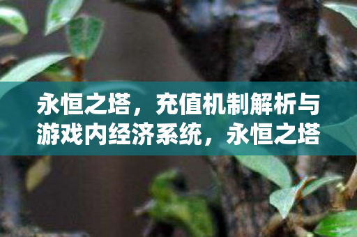 永恒之塔,充值机制解析与游戏内经济系统,永恒之塔,游戏内经济系统与充值机制深度解析 永恒之塔,充值机制解析与游戏内经济系统,永恒之塔,游戏内经济系统与充值机制深度解析