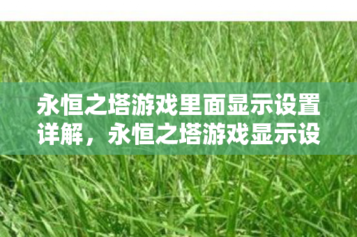 永恒之塔游戏里面显示设置详解图片