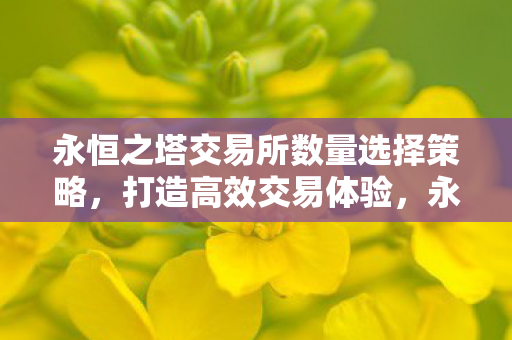 永恒之塔交易所数量选择策略,打造高效交易体验,永恒之塔交易所,优化数量选择策略,打造高效交易体验 永恒之塔交易所数量选择策略,打造高效交易体验,永恒之塔交易所,优化数量选择策略,打造高效交易体验