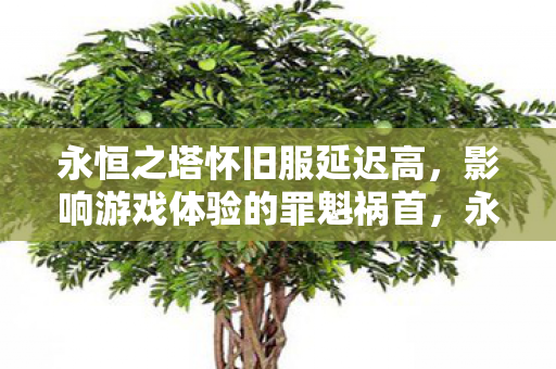 永恒之塔怀旧服延迟高,影响游戏体验的罪魁祸首,永恒之塔怀旧服延迟高,罪魁祸首竟在这里! 永恒之塔怀旧服延迟高,影响游戏体验的罪魁祸首,永恒之塔怀旧服延迟高,罪魁祸首竟在这里!
