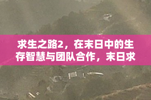 求生之路2，在末日中的生存智慧与团队合作，末日求生，智慧与团队在求生之路2中的生存之道