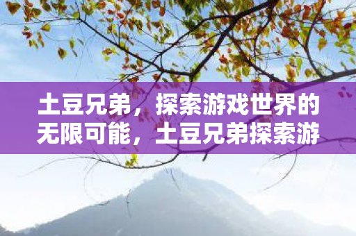 土豆兄弟，探索游戏世界的无限可能，土豆兄弟探索游戏世界的无限可能