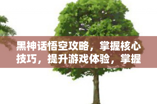 黑神话悟空攻略，掌握核心技巧，提升游戏体验，掌握核心技巧，提升黑神话悟空游戏体验