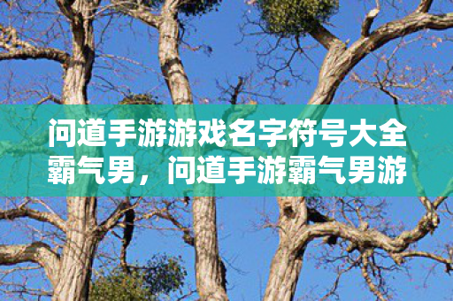 问道手游游戏名字符号大全霸气男,问道手游霸气男游戏名字符号大全 问道手游游戏名字符号大全霸气男,问道手游霸气男游戏名字符号大全