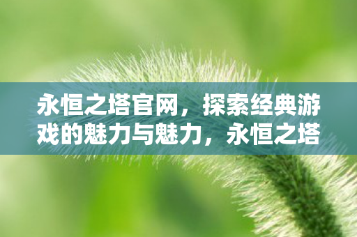 永恒之塔官网,探索经典游戏的魅力与魅力,永恒之塔官网,探索经典游戏的魅力与魅力 永恒之塔官网,探索经典游戏的魅力与魅力,永恒之塔官网,探索经典游戏的魅力与魅力
