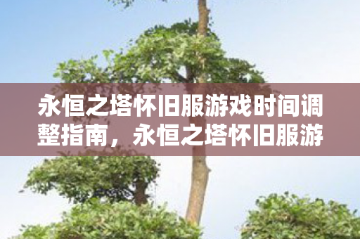 永恒之塔怀旧服游戏时间调整全攻略图片