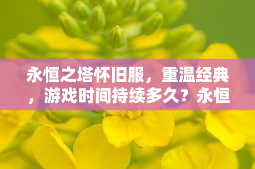 游戏时间持续多久图片