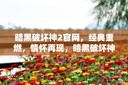 暗黑破坏神2官网，经典重燃，情怀再现，暗黑破坏神2经典重燃，情怀再现官网