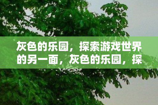 灰色的乐园，探索游戏世界的另一面，灰色的乐园，探索游戏世界的另一面