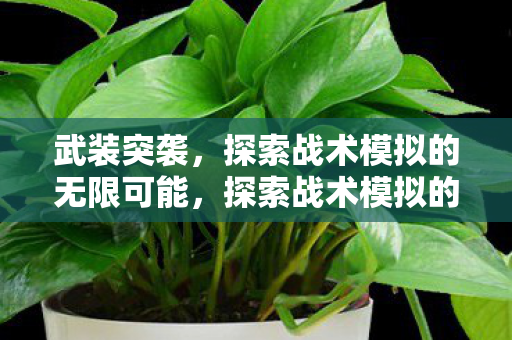武装突袭，探索战术模拟的无限可能，探索战术模拟的无限可能，武装突袭