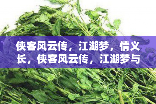 侠客风云传,江湖梦,情义长,侠客风云传,江湖梦与情义长 侠客风云传,江湖梦,情义长,侠客风云传,江湖梦与情义长