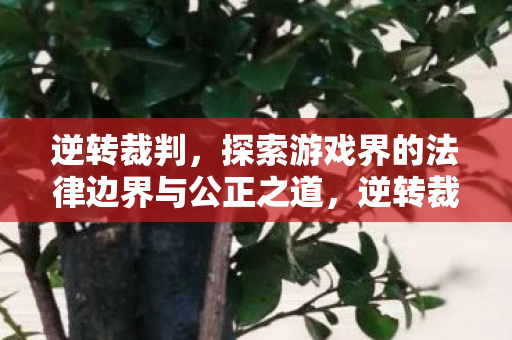 逆转裁判，探索游戏界的法律边界与公正之道，逆转裁判，探索游戏界的法律边界与公正之道