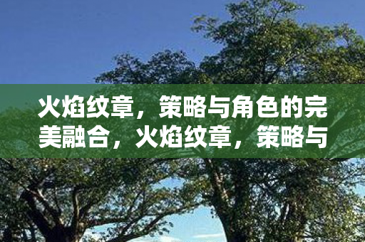 火焰纹章,策略与角色的完美融合,火焰纹章,策略与角色的完美融合 火焰纹章,策略与角色的完美融合,火焰纹章,策略与角色的完美融合