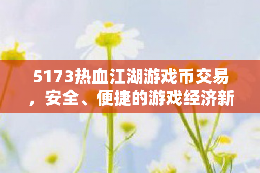 5173热血江湖游戏币交易，安全、便捷的游戏经济新体验，5173打造热血江湖游戏币交易，安全便捷新体验