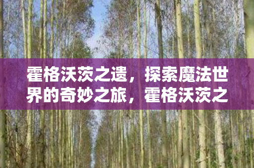 霍格沃茨之遗，探索魔法世界的奇妙之旅，霍格沃茨之遗，魔法世界的奇妙探险之旅