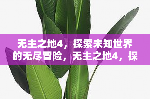 无主之地4，探索未知世界的无尽冒险，无主之地4，探索未知世界的无尽冒险