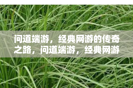 问道端游,经典网游的传奇之路,问道端游,经典网游的传奇之路 问道端游,经典网游的传奇之路,问道端游,经典网游的传奇之路