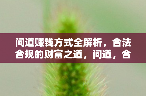 合法合规的财富之道全解析图片