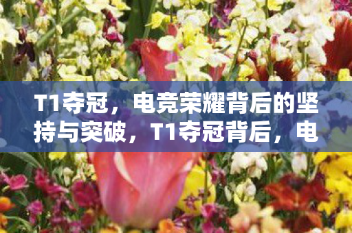 T1夺冠,电竞荣耀背后的坚持与突破,T1夺冠背后,电竞荣耀的坚持与突破 T1夺冠,电竞荣耀背后的坚持与突破,T1夺冠背后,电竞荣耀的坚持与突破