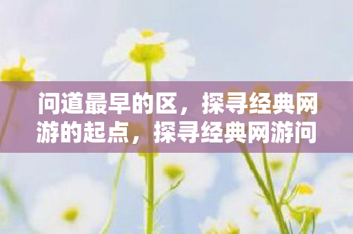 探寻经典网游问道最早区图片