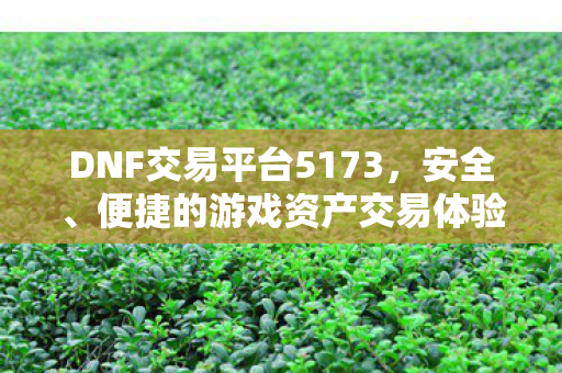 DNF交易平台5173,安全、便捷的游戏资产交易体验,5173,DNF交易平台,安全便捷交易体验 DNF交易平台5173,安全、便捷的游戏资产交易体验,5173,DNF交易平台,安全便捷交易体验