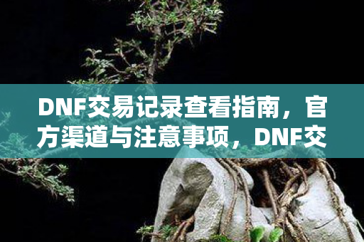 DNF交易记录查看指南,官方渠道与注意事项,DNF交易记录查看全攻略,官方渠道与注意事项 DNF交易记录查看指南,官方渠道与注意事项,DNF交易记录查看全攻略,官方渠道与注意事项