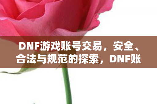 DNF游戏账号交易,安全、合法与规范的探索,DNF账号交易,安全、合法与规范的探索之路 DNF游戏账号交易,安全、合法与规范的探索,DNF账号交易,安全、合法与规范的探索之路