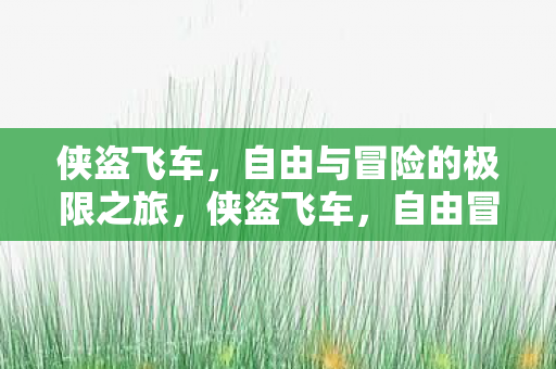 侠盗飞车，自由与冒险的极限之旅，侠盗飞车，自由冒险的极限之旅
