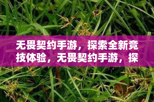 无畏契约手游,探索全新竞技体验,无畏契约手游,探索全新竞技体验 无畏契约手游,探索全新竞技体验,无畏契约手游,探索全新竞技体验
