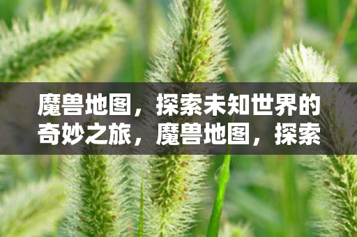 魔兽地图，探索未知世界的奇妙之旅，魔兽地图，探索未知世界的奇妙之旅