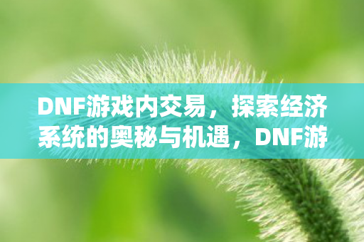 探索经济系统的奥秘与机遇图片