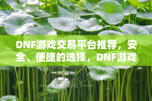 DNF游戏交易平台推荐图片