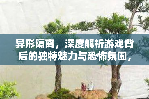 异形隔离，深度解析游戏背后的独特魅力与恐怖氛围，异形隔离，深度剖析游戏背后的独特魅力与恐怖氛围