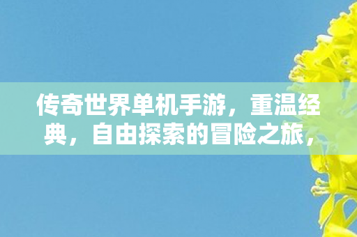 传奇世界单机手游,重温经典,自由探索的冒险之旅,重温经典,自由探索的冒险之旅,传奇世界单机手游 传奇世界单机手游,重温经典,自由探索的冒险之旅,重温经典,自由探索的冒险之旅,传奇世界单机手游