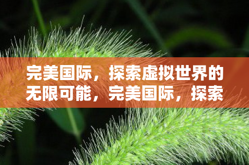 探索虚拟世界的无限可能图片