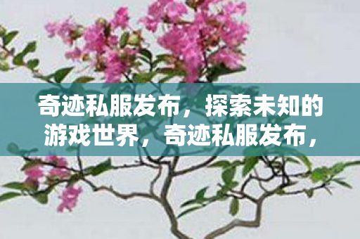 奇迹私服发布,探索未知的游戏世界,奇迹私服发布,探索未知的游戏世界 奇迹私服发布,探索未知的游戏世界,奇迹私服发布,探索未知的游戏世界