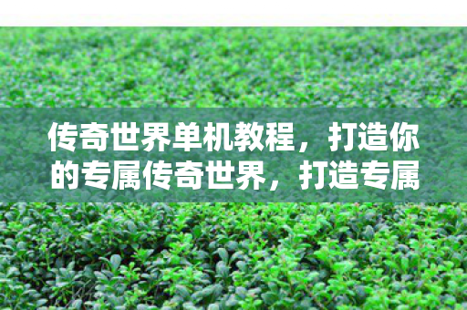 传奇世界单机教程,打造你的专属传奇世界,打造专属传奇世界,单机版教程全解析 传奇世界单机教程,打造你的专属传奇世界,打造专属传奇世界,单机版教程全解析