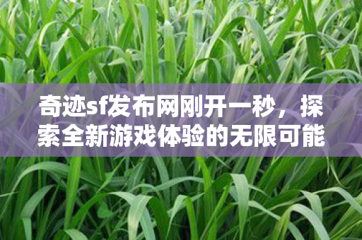 奇迹sf发布网刚开一秒,探索全新游戏体验的无限可能,奇迹sf发布网,探索全新游戏体验的无限可能 奇迹sf发布网刚开一秒,探索全新游戏体验的无限可能,奇迹sf发布网,探索全新游戏体验的无限可能