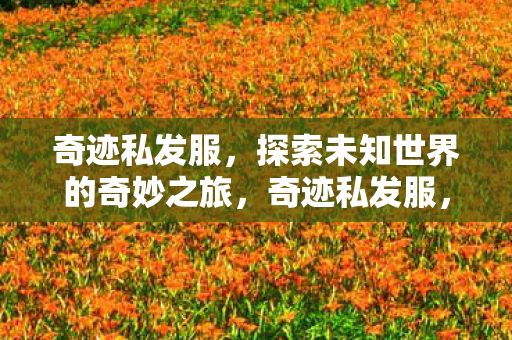 奇迹私发服,探索未知世界的奇妙之旅,奇迹私发服,探索未知世界的奇妙冒险之旅 奇迹私发服,探索未知世界的奇妙之旅,奇迹私发服,探索未知世界的奇妙冒险之旅