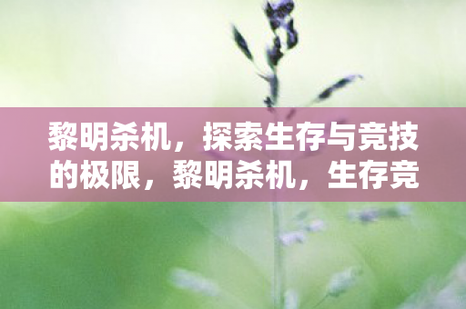 黎明杀机，探索生存与竞技的极限，黎明杀机，生存竞技的极限探索