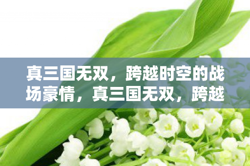 真三国无双，跨越时空的战场豪情，真三国无双，跨越时空的战场豪情